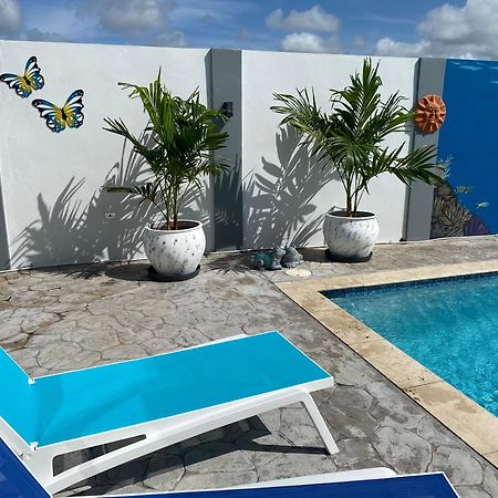 Beautiful Luxury Villa With Private Pool Palm Beach Exterior photo